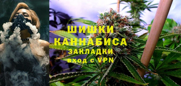 гидропоника Ельня