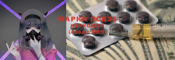 шишки Елабуга