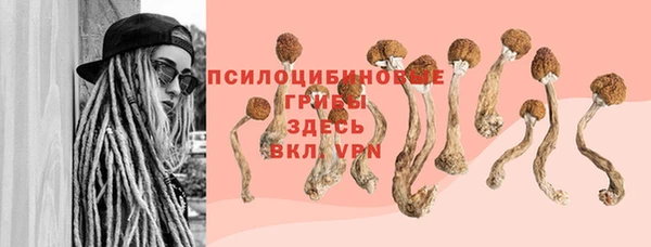 гидропоника Ельня
