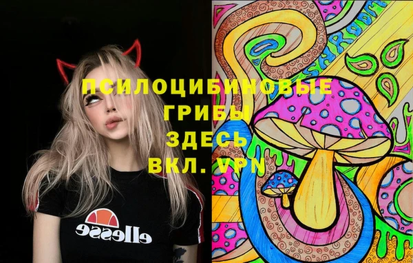 шишки Елабуга