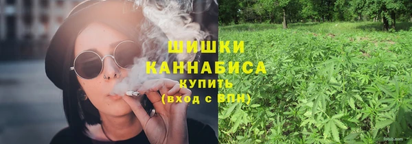шишки Елабуга