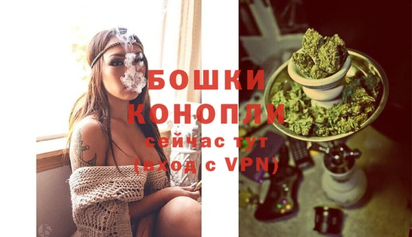 шишки Елабуга