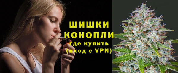 гидропоника Ельня