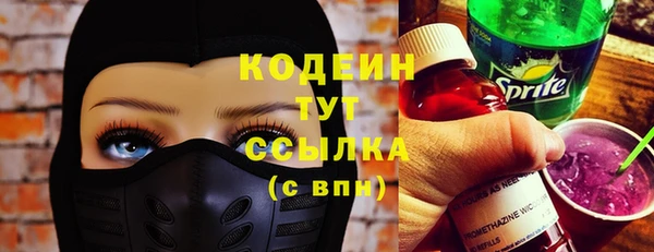 шишки Елабуга